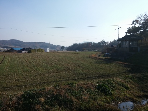 CAM00880