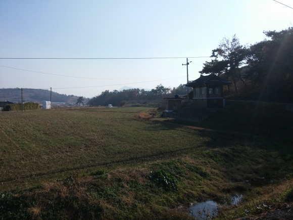 CAM00881