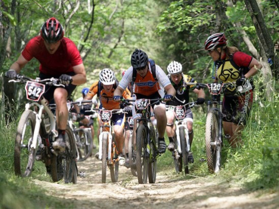 호흡기계 변화.jpg